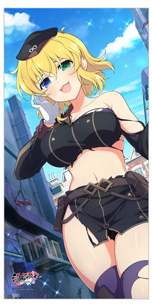 シノビマスター 閃乱カグラ NEW LINK ロングクッションカバー(両奈/双