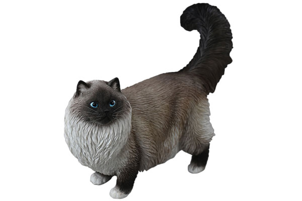 【ラグドール】 1/6 ラグドール 2.0 B[JXKスタジオ]《在庫切れ》