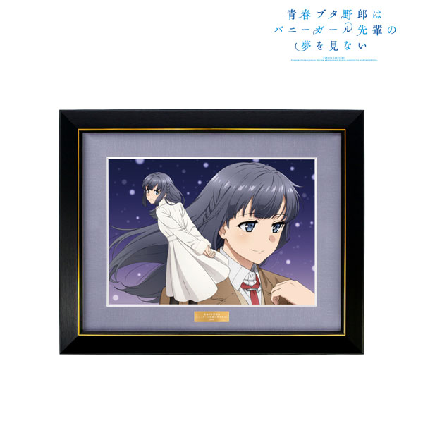 ☆キャラファイングラフ ～ヒロインズコレクション 牧之原翔子
