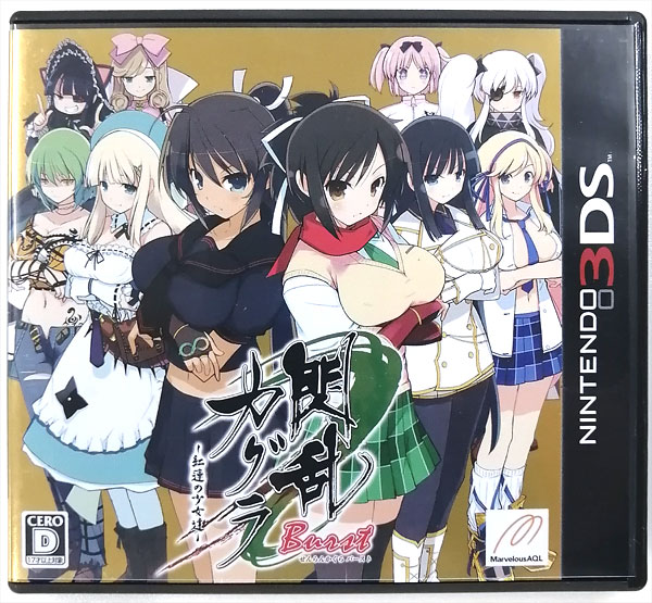 3DS 閃乱カグラ Burst -紅蓮の少女達-