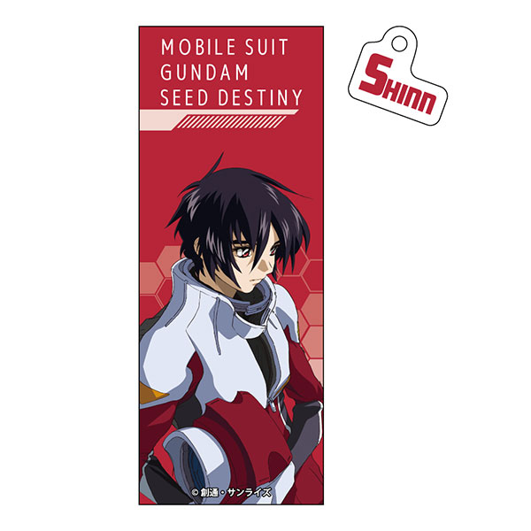 機動戦士ガンダムSEED DESTINY チャーム付きボールペン シン・アスカ