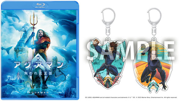 BD アクアマン/失われた王国 ブルーレイ＆DVDセット アクリルキーホルダー2種セット付限定版[ワーナーブラザースジャパン]《在庫切れ》