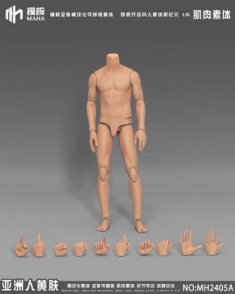 1/6マッスル男性素体 / アジアンイエロースキン[MAHA Studio
