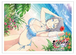 シノビマスター 閃乱カグラ NEW LINK スリーブ(雪泉/SV10周年盛・伝説爆乳祭) パック[キース]