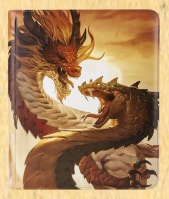 あなたと巳来に AT-38017 Card Codex Zipster Regular - Wood Snake 2025 (干支