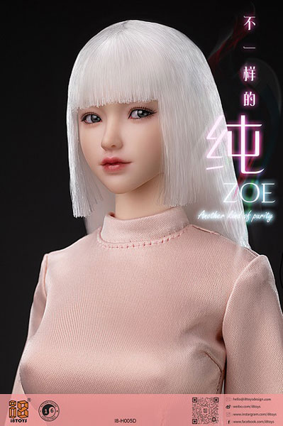 1/6 アジアンビューティーヘッドD(眼球可動式) シルバーホワイト