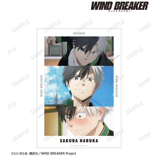 TVアニメ『WIND BREAKER』 桜遥 場面写A3マット加工ポスター[アルマビアンカ]