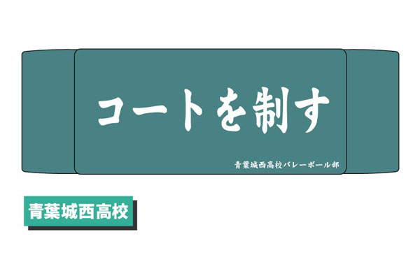 ヘアバンド ハイキュー！！ 02 青葉城西高校[タカラトミーアーツ]