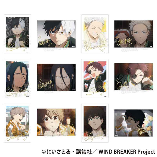 WIND BREAKER トレーディング箔押しブロマイド 12個入りセット[ベルハウス]