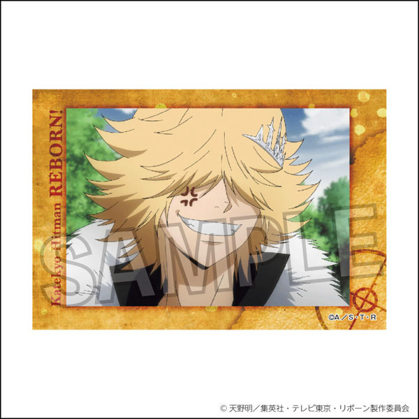 家庭教師ヒットマンREBORN! アメコレ メダル リボーン 20個 家庭教師