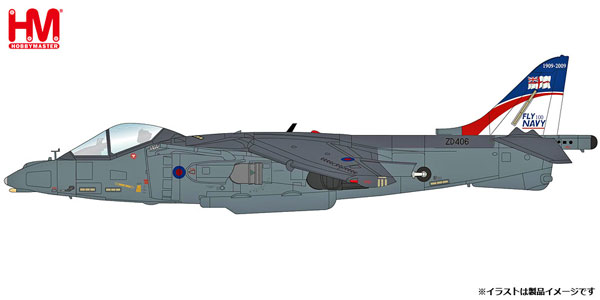 1/72 ハリアー GR.9 “イギリス海軍航空団 コッツモア基地 2009”[ホビーマスター]