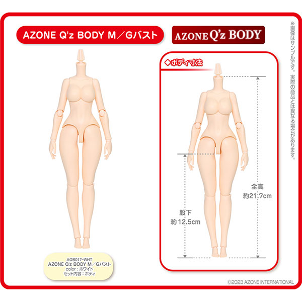 1/6 AZONE Q’z BODY M/Gバスト[アゾン]