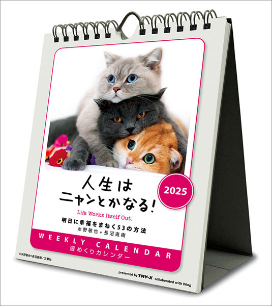 人生はニャンとかなる！ 卓上/壁掛 2025年カレンダー[トライエックス