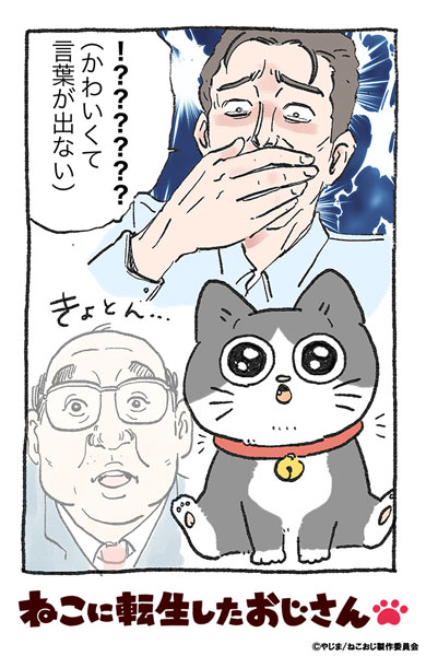 ブシロード トレーディングカード コレクションクリア ねこに転生したおじさん 20パック入りBOX[ブシロード]《在庫切れ》