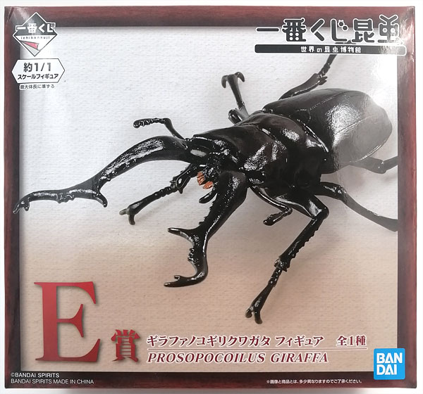 １番くじ　昆虫　フィギュア　まとめ売り　７体セット 1番くじ 昆虫 フィギュア まとめ売り 7体セット - メルカリ