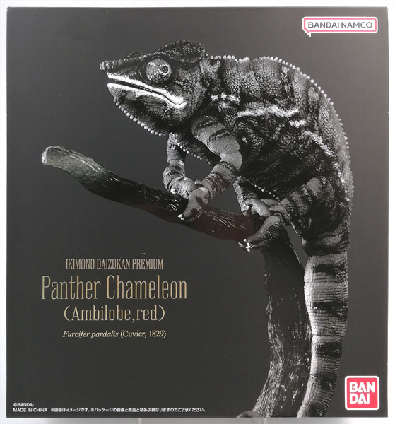 パンサーカメレオン（アンビローブ・レッド） いきもの大図鑑プレミアム いきもの大図鑑プレミアム パンサーカメレオン（アンビローブ・レッド