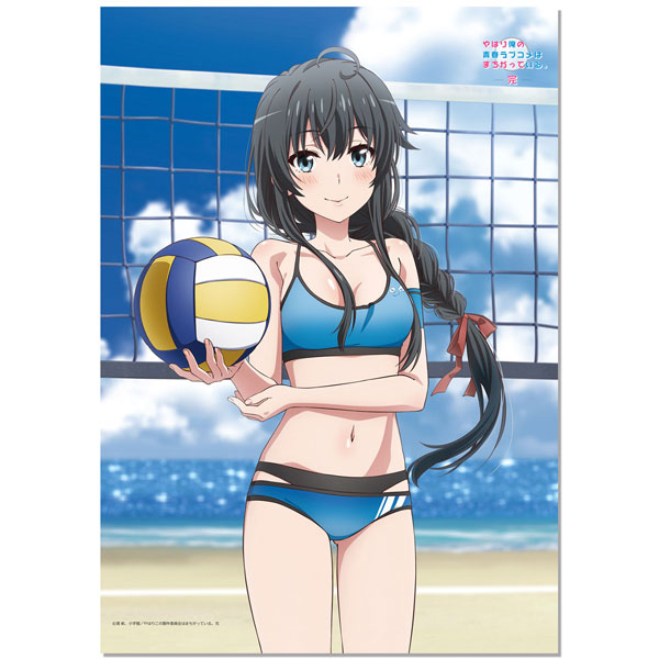 やはり俺の青春ラブコメはまちがっている。完 描き下ろし B2