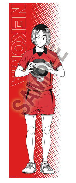 ハイキュー‼︎ BIGファブリックポスター　赤葦京治　ポートレートシリーズ ハイキュー‼︎ BIGファブリックポスター 赤葦京治 ポートレート