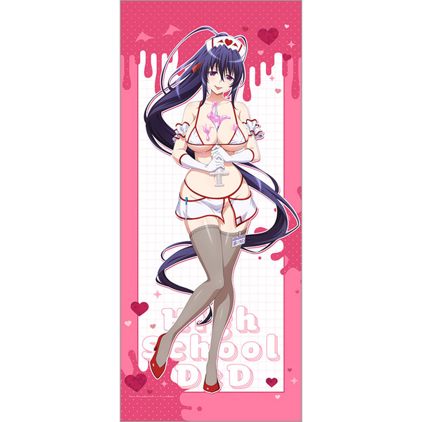 ハイスクールD×D HERO 描き下ろし特大タペストリー(姫島朱乃/白ナース)[カーテン魂]