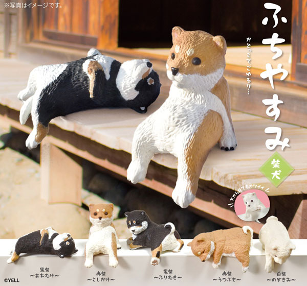 ふちやすみ 柴犬 10個入りBOX[エール]