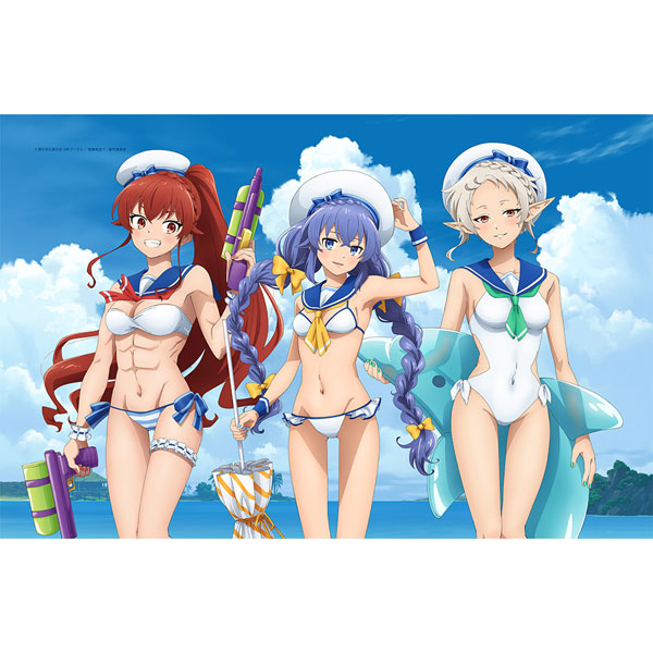☆着払限定☆断捨離☆エターナルサンシャイン☆反転両面仕様☆ポスター２枚セット 無職転生II ～異世界行ったら本気だす～ 描き下ろしタオルケット