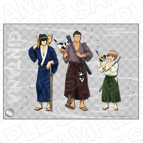 銀魂 アニメイト限定 攘夷志士Ver. ＆ 武州Ver. あの頃アクリル