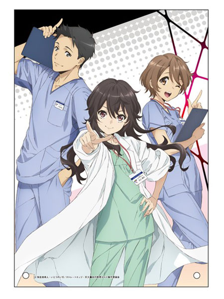 天久鷹央の推理カルテ アクリルパネル[ペンギンパレード]《在庫切れ》