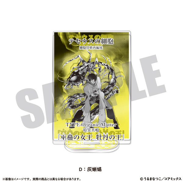 列強戦線 特異共鳴 アクリルスタンド 列強戦線」 【特異共鳴】アクリルスタンド – MENEGI online store