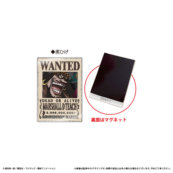 ONE PIECE アクリル手配書マグネットvol.4 黒ひげ[タピオカ]