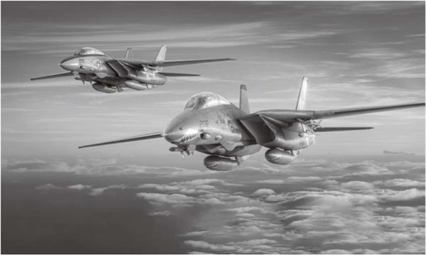 F-14トムキャット写真集 大日本絵画 - メルカリ