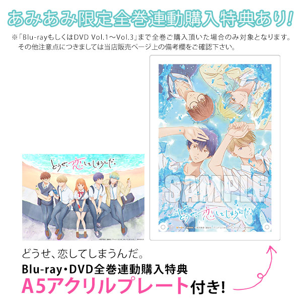 DVD どうせ、恋してしまうんだ。 DVD BOX Vol.1[ハピネット]《０５月予約》
