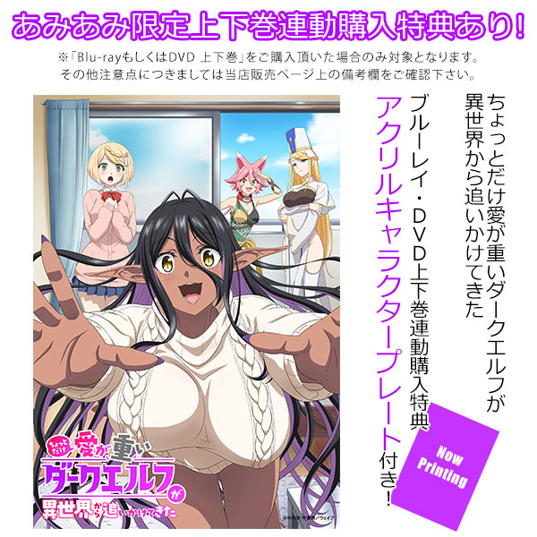 DVD ちょっとだけ愛が重いダークエルフが異世界から追いかけてきた 下巻[ウェイブ]《０９月予約》