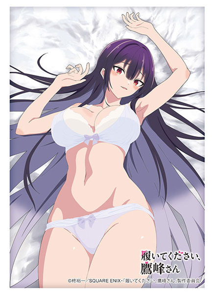 ブシロード スリーブコレクション ハイグレード Vol.4837 TVアニメ「履いてください、鷹峰さん」『鷹峰高嶺』下着ver.[ブシロード]《０７月予約》