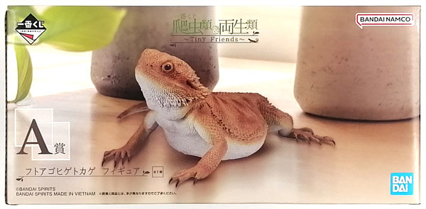 中古】(本体A/箱B)一番くじ 爬虫類＆両生類～Tiny Friends～ A賞