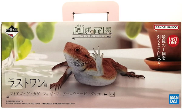 一番くじ 爬虫類＆両生類～Tiny Friends～ ラストワン賞
