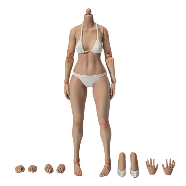 1/6 ナローショルダー フィメールボディ ミディアムバスト ライトウィートスキン[True 1 Toys]《０９月仮予約》