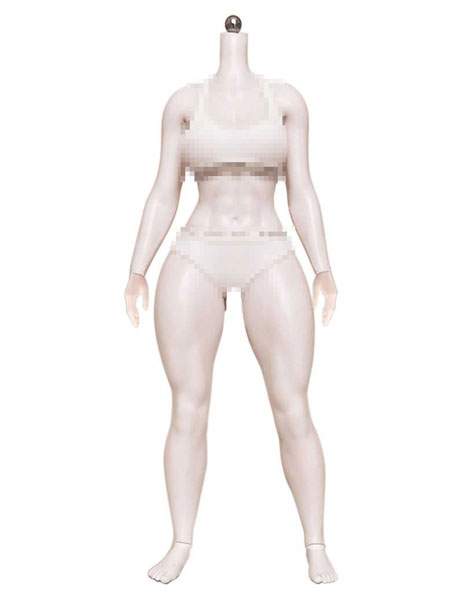 1/6 アーティキュレーテッド プラチナシリコン フィメールボディ 筋肉質 手足分割