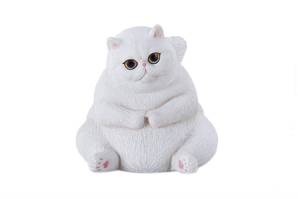 ぽっちゃりキャット A ぽっちゃりキャット A