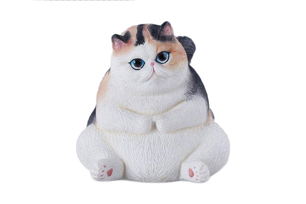 ぽっちゃりキャット B