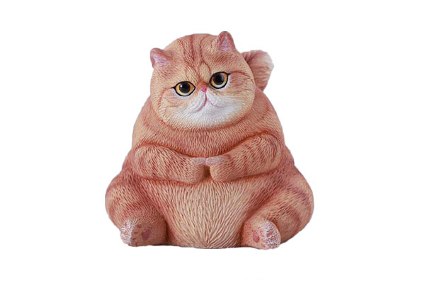 ぽっちゃりキャット C
