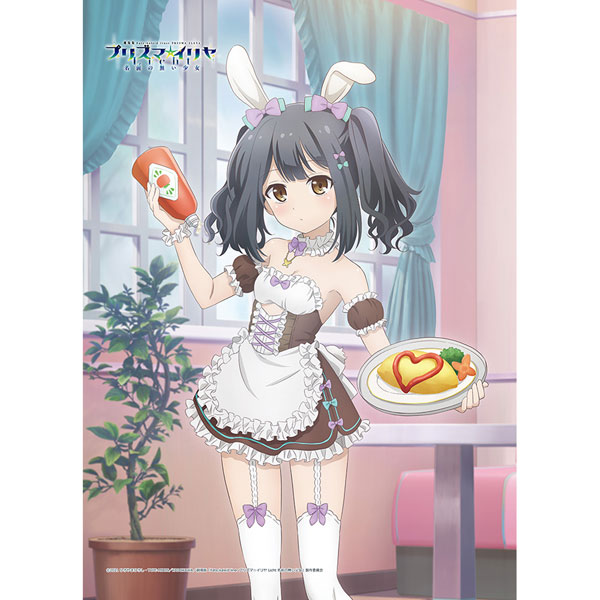 Fate/kaleid liner プリズマ☆イリヤ Licht 名前の無い少女 描き下ろし