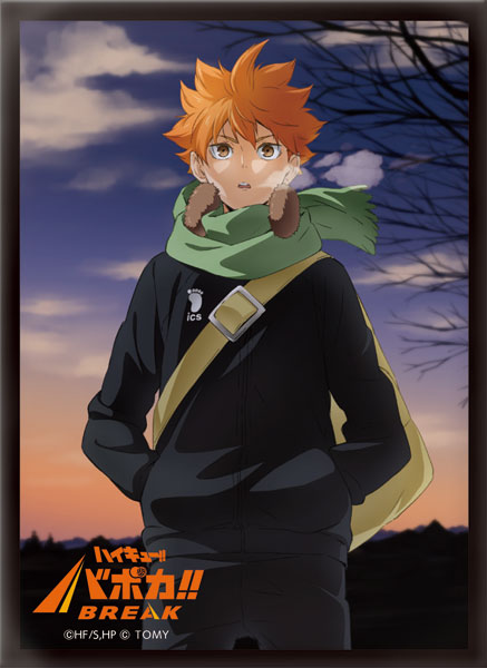 ス*ル様 ハイキュー!! バボカ!! BREAK 日向翔陽 シリアルナンバー入 ハイキュー!! バボカ!! BREAK 日向翔陽 シリアルナンバー入 サイン 極