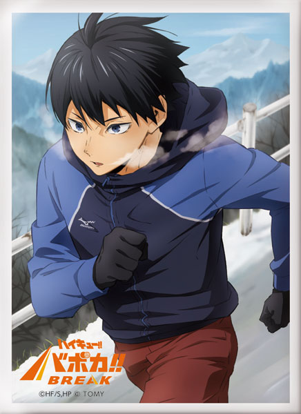 ハイキュー！！ バボカ！！ BREAK DXカードスリーブ Vol.1「影山飛雄