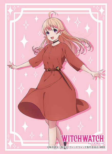 ブシロード スリーブコレクション ハイグレード Vol.4882 TV