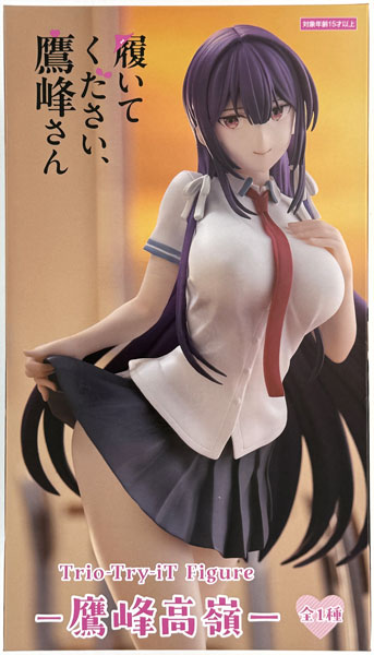 中古】(本体A/箱B)履いてください、鷹峰さん Trio-Try-iT Figureー鷹峰
