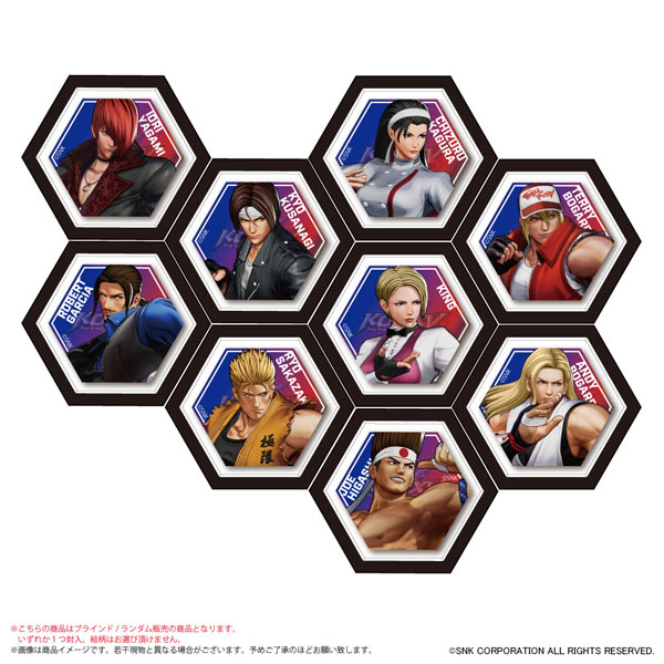 KOF 六角ミニキャンバスマグネット A 9個入りBOX