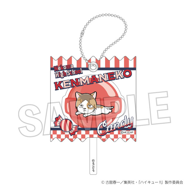 ハイキュー！！ ラッピングアクリルキーホルダー ケンマネコ[PROOF]