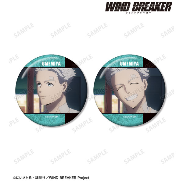 WIND BREAKER 梅宮一 ナンジャタウン 缶バッジ 特典