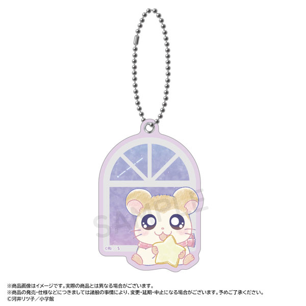 ♡とっちゃん♡様 リクエスト 7点 まとめ商品 とっとこハム太郎～Twinkle Dreams～スライドミラー F.マフラー