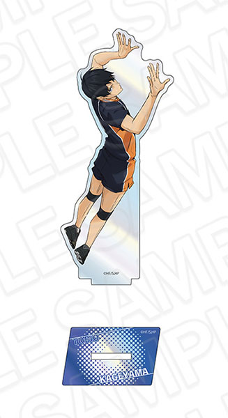 ハイキュー　オーロラブロッキー　影山飛雄 ハイキュー オーロラブロッキー 影山飛雄
